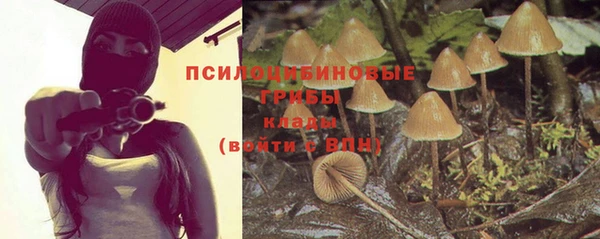 2c-b Зеленодольск